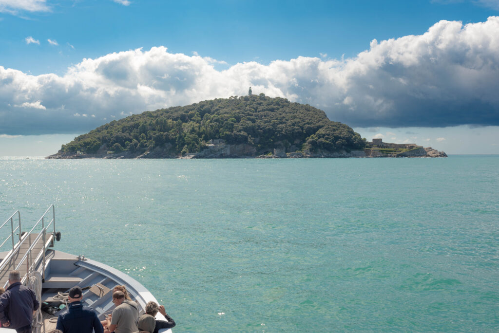 San Venerio corse speciali per il Tino