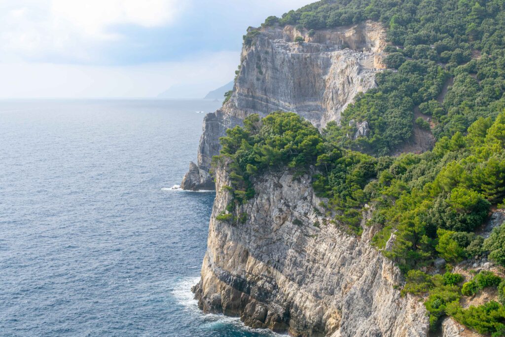 Palmaria la costa